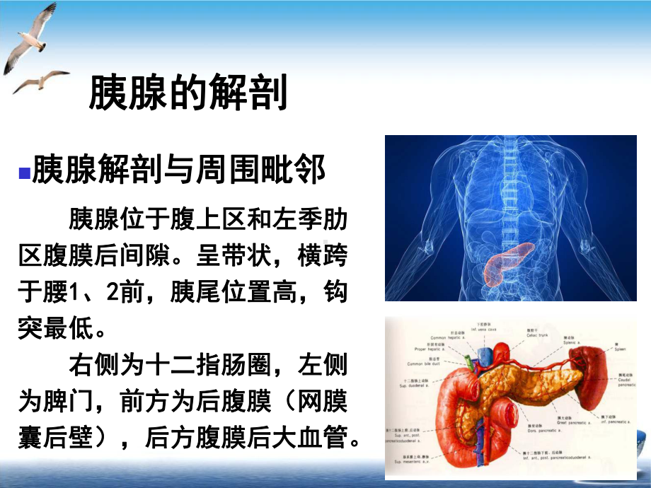 胰腺癌的影像学表现课件示范课件.ppt_第2页