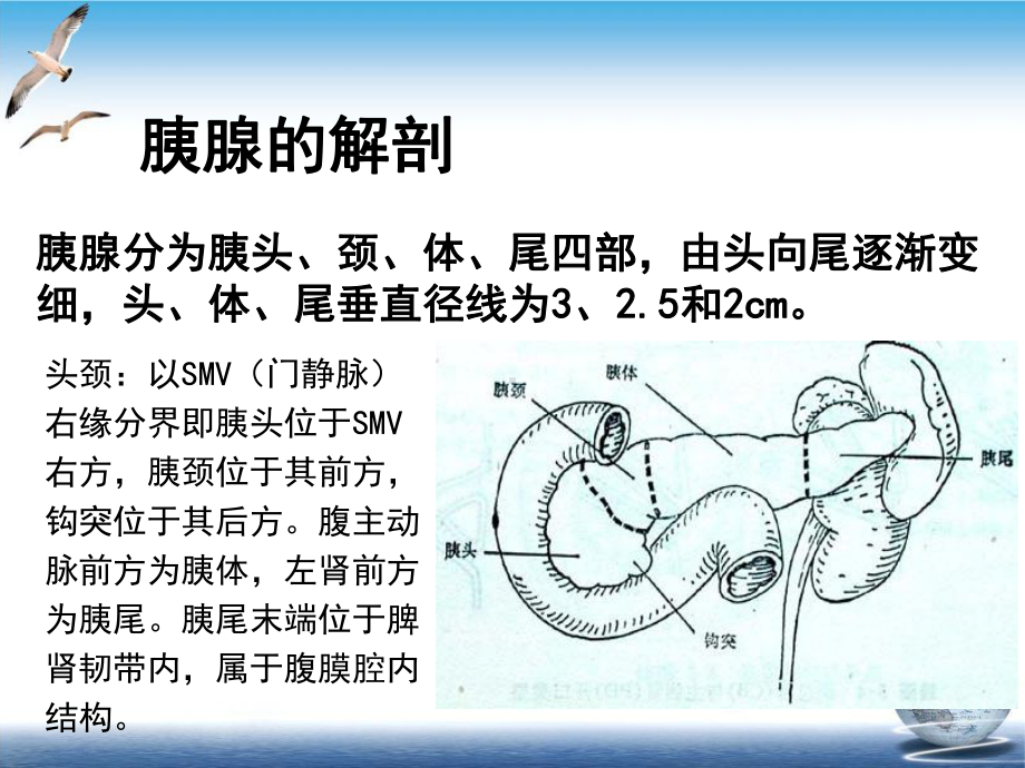 胰腺癌的影像学表现课件示范课件.ppt_第3页