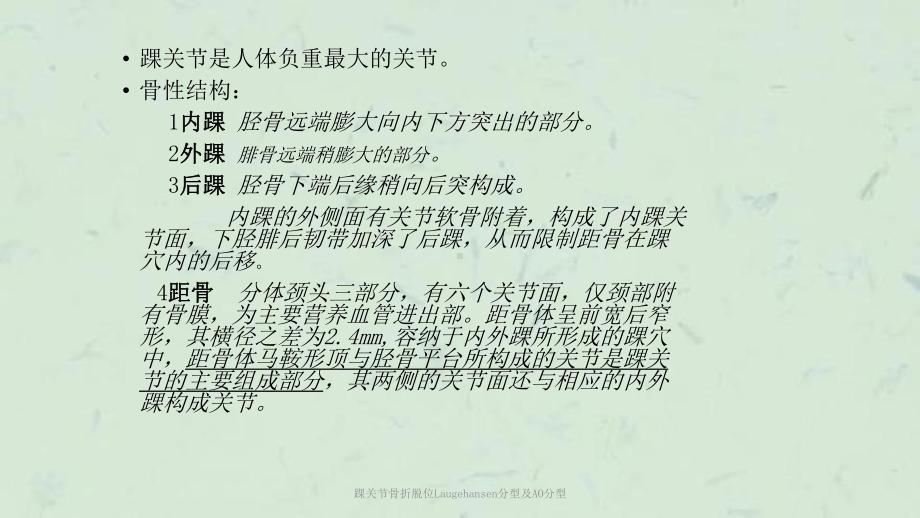 踝关节骨折脱位Laugehansen分型及AO分型课件.ppt_第2页