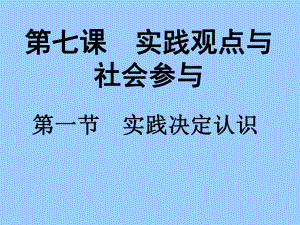 实践观点与社会参与课件.ppt