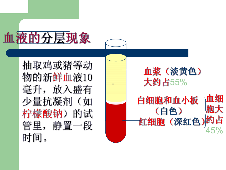 人体内物质的运输初中生物课件-2.ppt_第2页