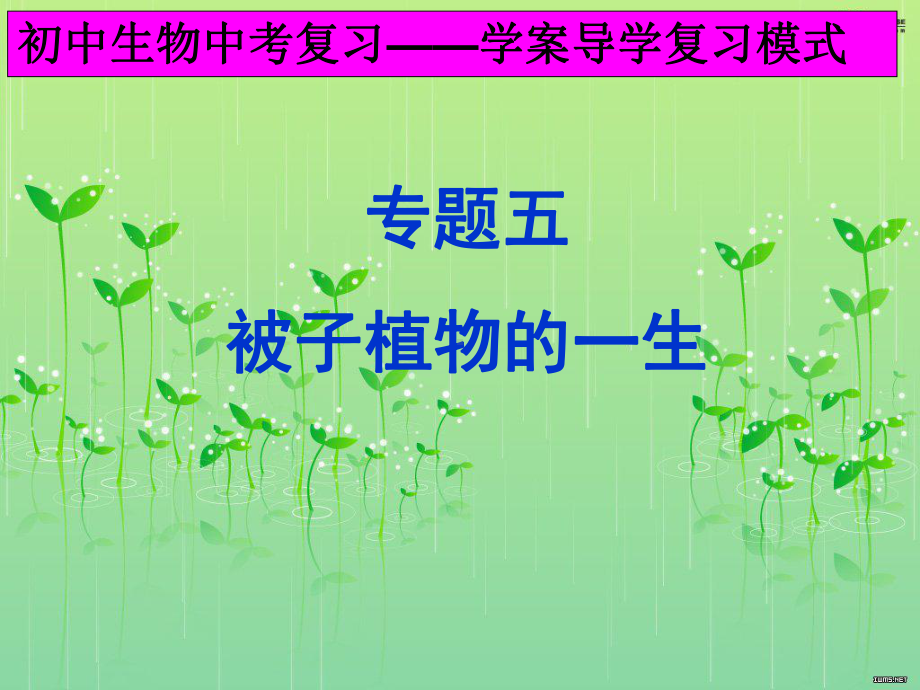 新人教版中考生物专题复习：被子植物的一生课件.ppt_第1页