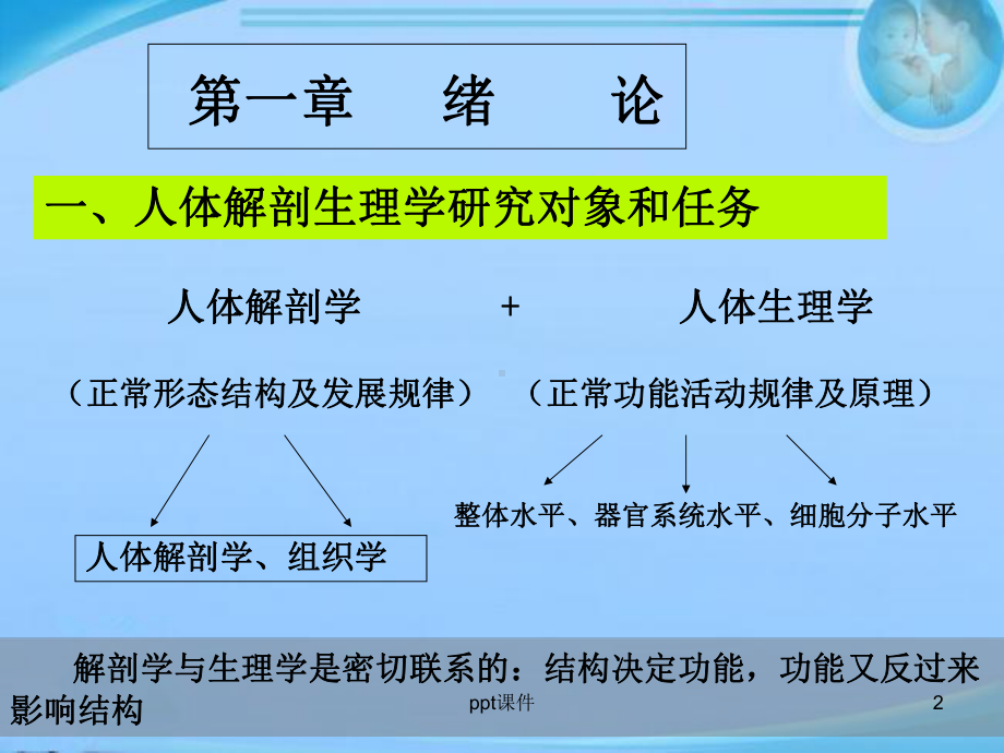 人体解剖生理学-绪论-课件.ppt_第2页