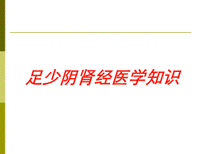 足少阴肾经医学知识培训课件.ppt