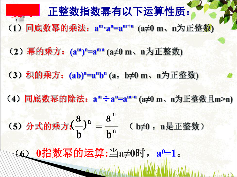 人教版《整数指数幂》优质课件.ppt_第2页