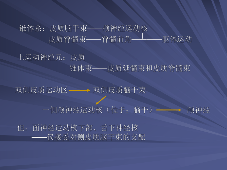 第3章-脑神经病变的定位诊断课件.ppt_第2页