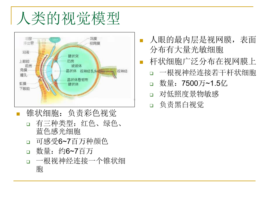 第二讲-数字图像处理的基本概念课件.ppt_第3页