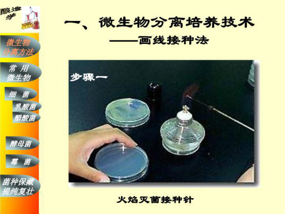 第三章酿造微生物学中的常用培养技术课件.ppt_第2页