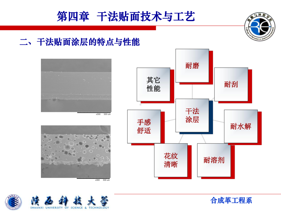 第五章-干法贴面技术与工艺解析课件.ppt_第3页