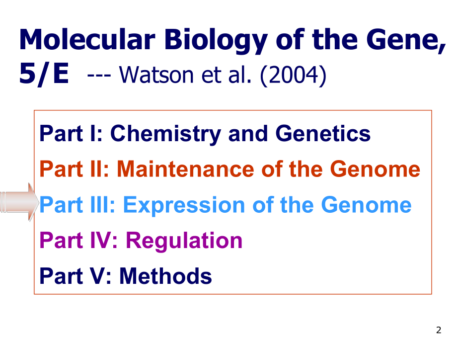 第五章-转录机制(Mechanisms-of-Transcription)课件.ppt_第2页