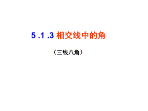 人教版初中数学-三线八角(内错角-同位角-同旁内角)课件.ppt