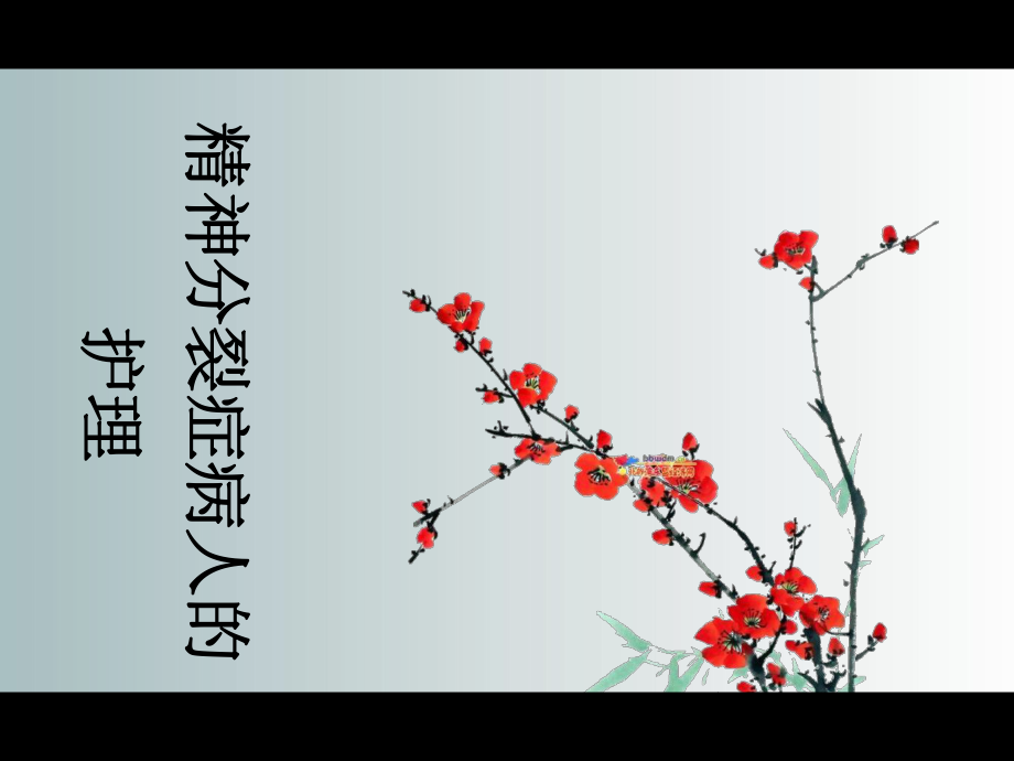 第二节-精神分裂症病人的护理课件.ppt_第1页