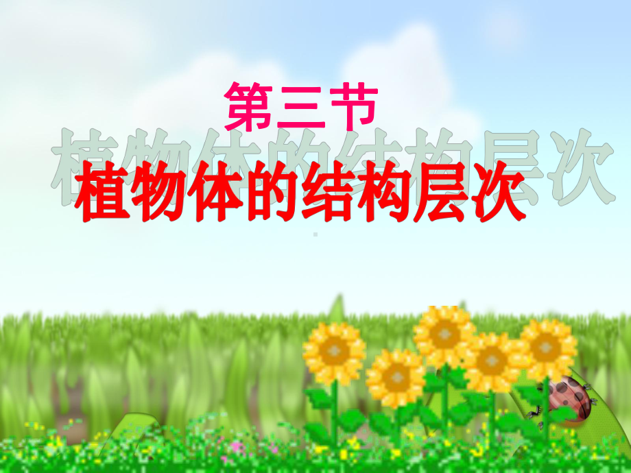 第三节植物体的结构层次教材课件.ppt_第1页