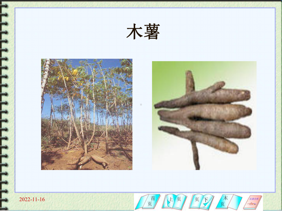 第三章淀粉生产和制糖01概述02一般工艺课件.ppt_第3页