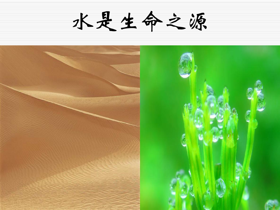 第三章-水分的分析测定-qianhe解析课件.ppt_第2页