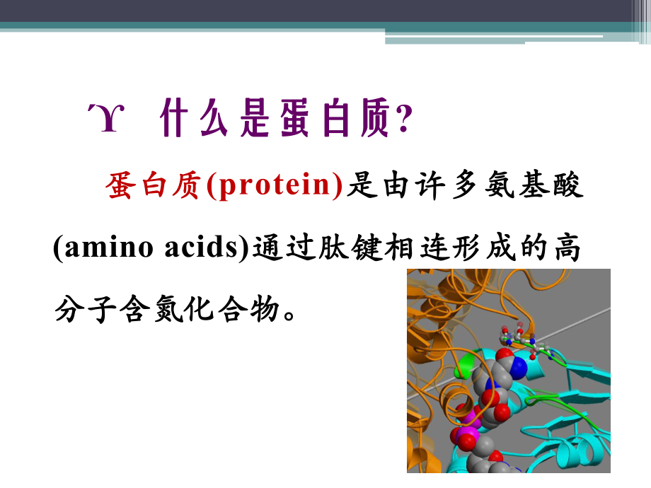 第二章-蛋白质的结构与功能(中职护理生化)讲课稿课件.ppt_第3页