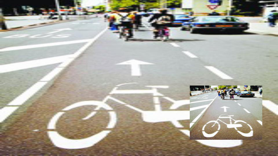 Unit 8 Green Living Lesson 3 -White Bikes- on the Road （ppt课件）-2022新北师大版（2019）《高中英语》必修第三册.pptx_第2页