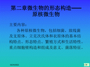 第二章微生物的形态构造汇总课件.ppt