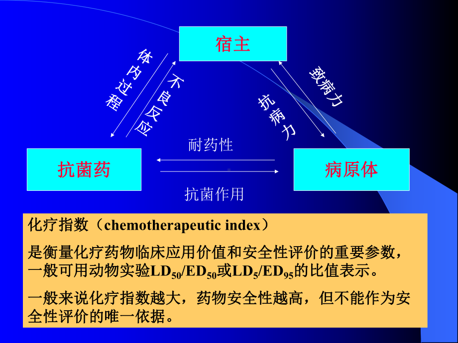 第三十八章----抗菌药物概论课件.ppt_第3页