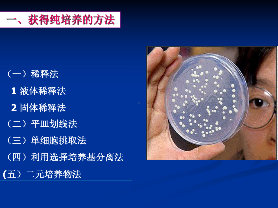 第七章微生物的生长及其控制课件.ppt_第3页