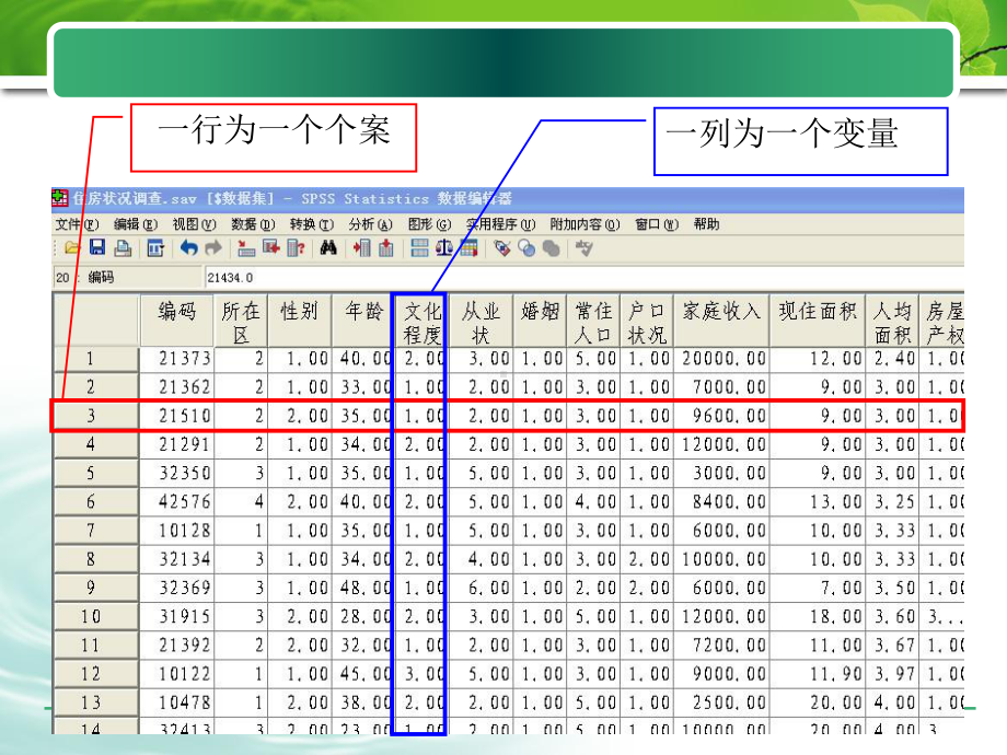 第二章-SPSS数据文件的建立和管理课件.ppt_第3页