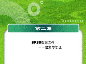 第二章-SPSS数据文件的建立和管理课件.ppt