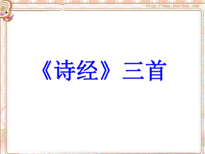第二单元-诗经三首-人教试验修订本课件.ppt