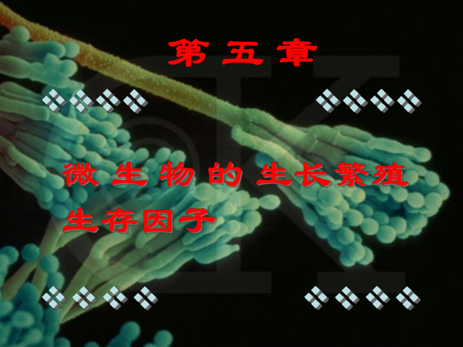 第一篇第五章微生物的生长繁殖与生存因子课件.ppt_第1页