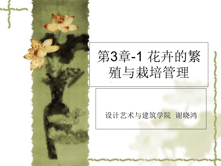 第三章-1-花卉的繁殖和栽培管理-课件.ppt_第1页