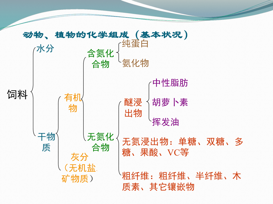 第三章水产动物营养原理-第三节碳水化合物营养课件.ppt_第3页