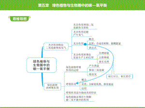 第五章-1-光合作用吸收二氧化碳释放氧气课件.pptx