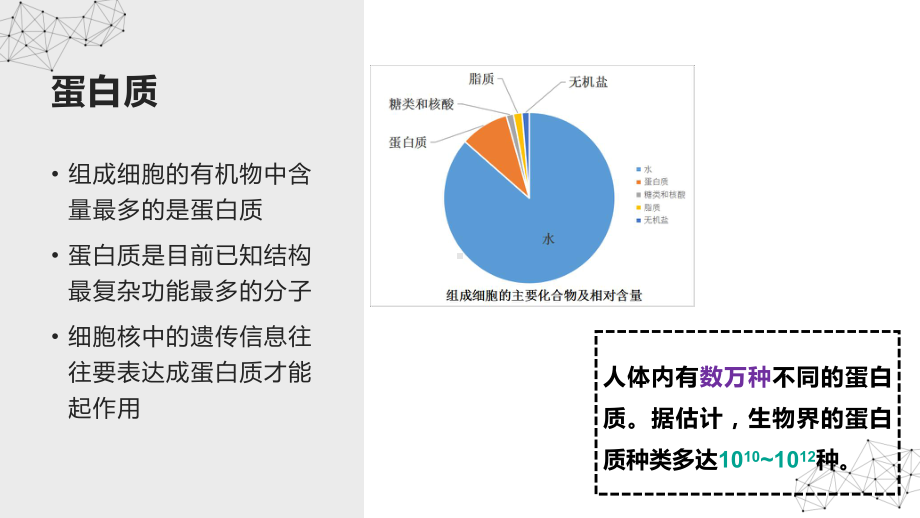 人教版《蛋白质》版1课件.pptx_第2页