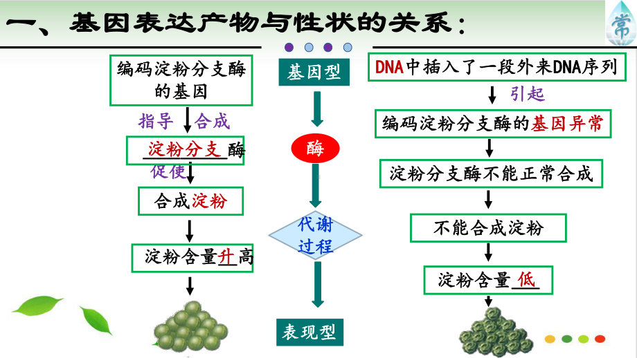 第二节-基因表达与性状的关系21（完美课件）.pptx_第3页