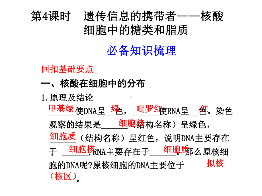 第4课时遗传信息的携带者—核酸细胞中的糖类和脂质课件.ppt_第1页