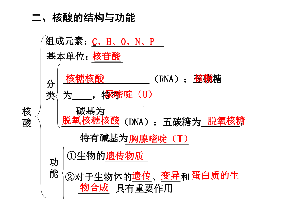 第4课时遗传信息的携带者—核酸细胞中的糖类和脂质课件.ppt_第3页