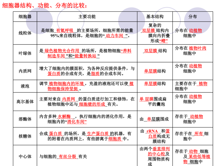 第2节细胞器-系统内的分工合作课件.ppt_第3页