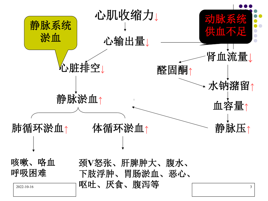 第二十一章-抗充血性心力衰竭药课件.ppt_第3页