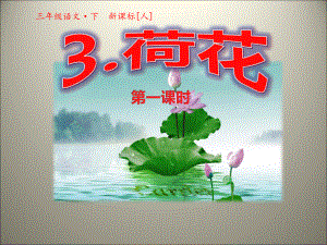 第3课荷花第一课时课件.ppt