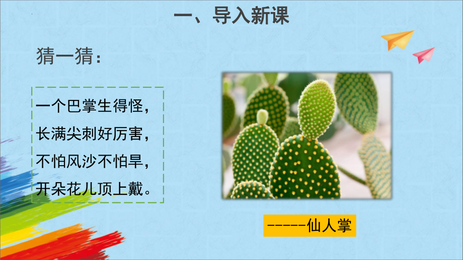 大象版四年级下科学《奇妙的植物》教学课件.pptx_第2页