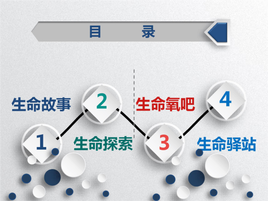 生命生态安全 3生命一样精彩四年级上册PPT.pptx_第3页