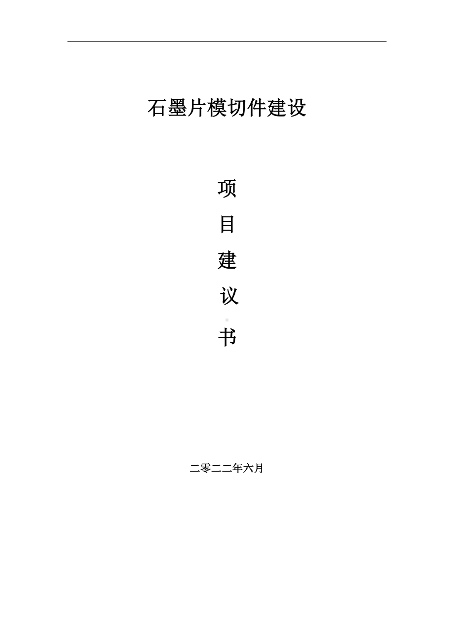 石墨片模切件项目建议书（写作模板）.doc_第1页