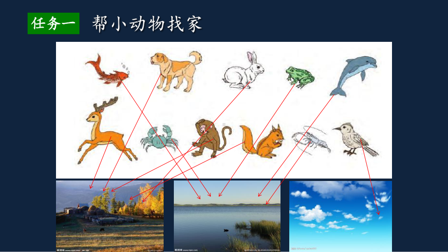 苏教版数学二年级下册《简单的数据收集与分类整理》区级展示课（定稿）.pptx_第3页