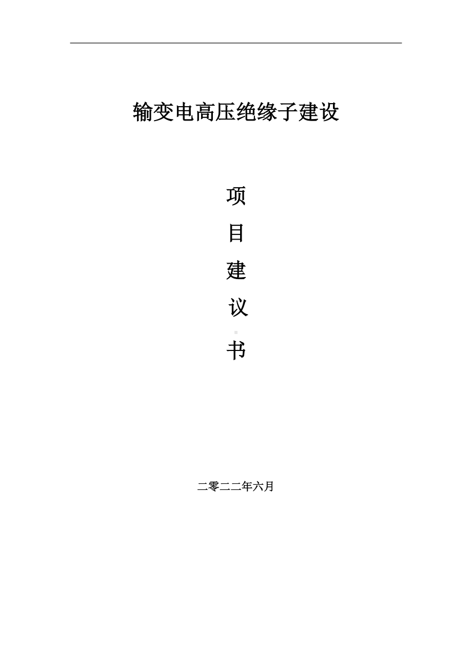 输变电高压绝缘子项目建议书（写作模板）.doc_第1页