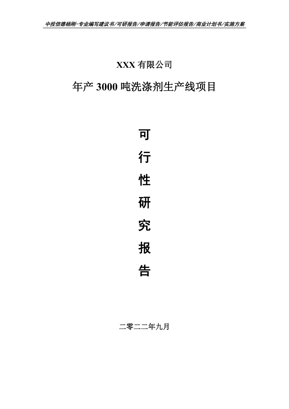 年产3000吨洗涤剂生产线申请报告可行性研究报告.doc_第1页