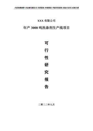 年产3000吨洗涤剂生产线申请报告可行性研究报告.doc