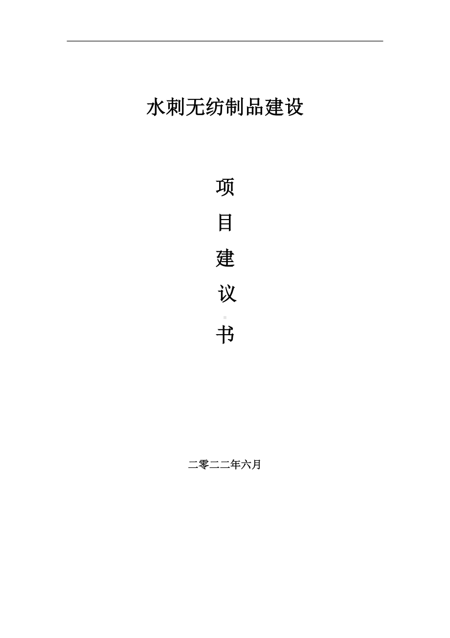 水刺无纺制品项目建议书（写作模板）.doc_第1页