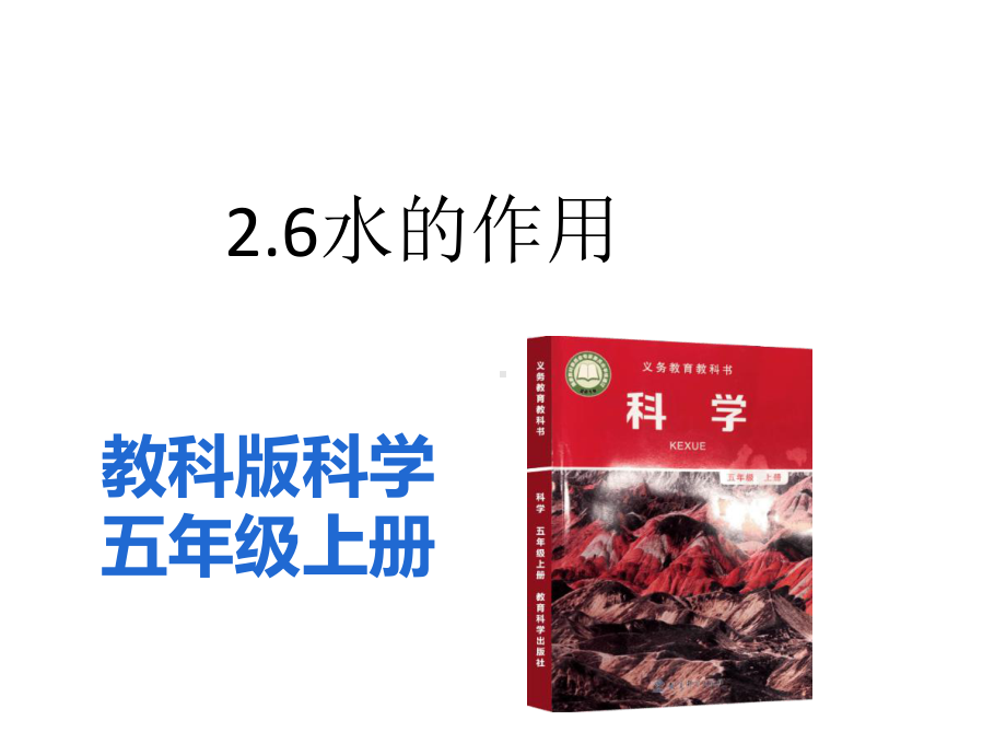 2.6水的作用 ppt课件（含练习）（共41张PPT)-2022新教科版五年级上册《科学》.pptx_第2页