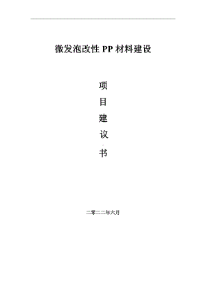 微发泡改性PP材料项目建议书（写作模板）.doc