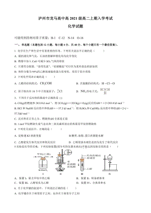 四川省泸州市龙马高2022-2023学年高二上学期入学考试化学试题.pdf