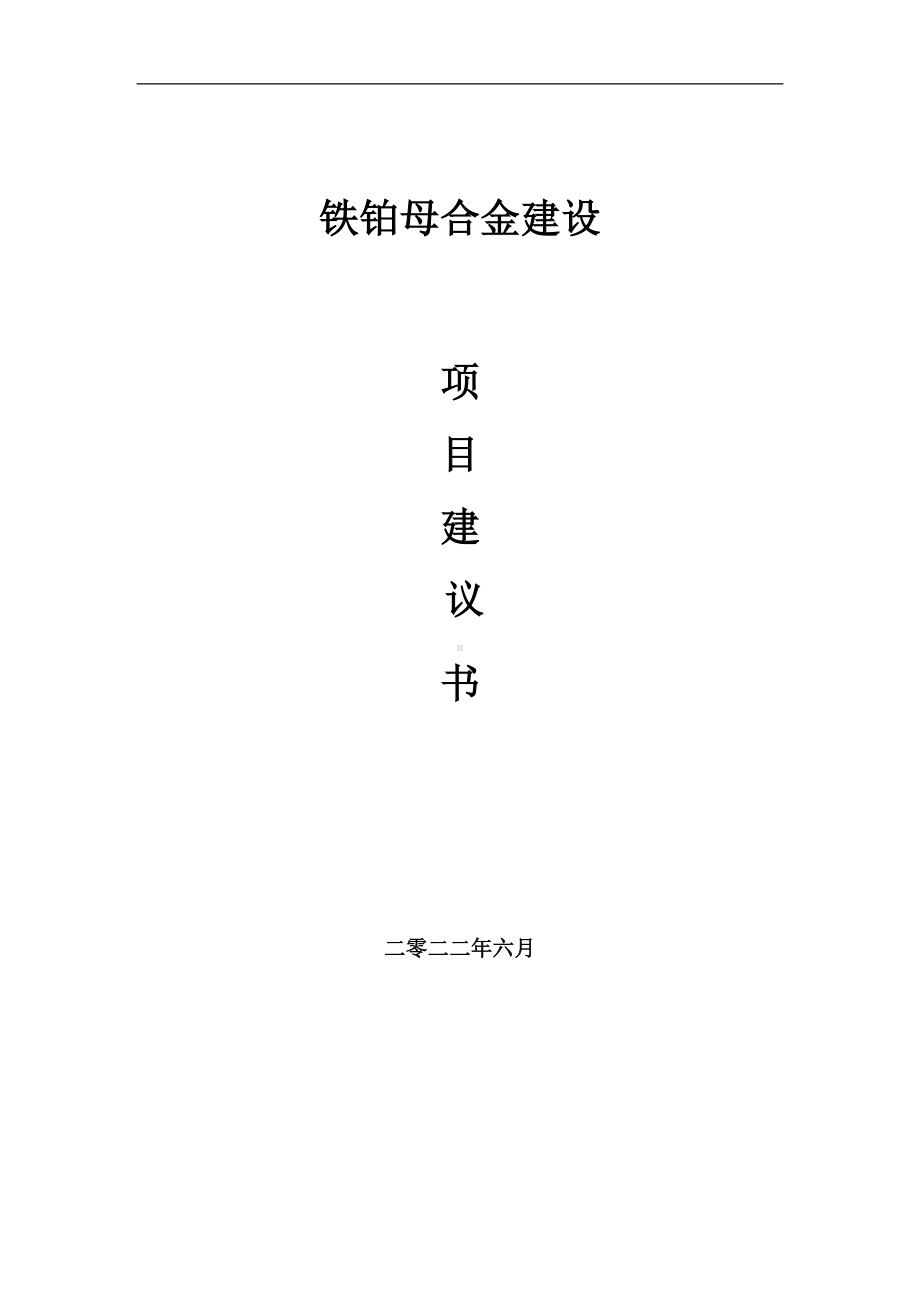 铁铂母合金项目建议书（写作模板）.doc_第1页